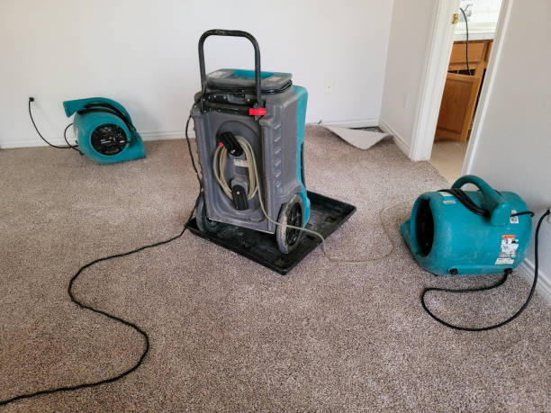 Best Water damage contractors near me  in Northwest Ithaca, NY