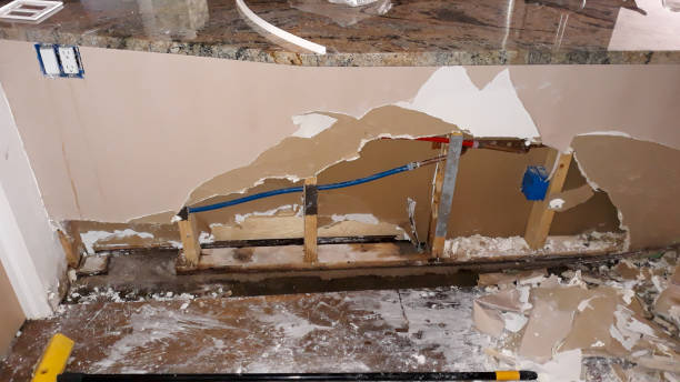 Best Water damage cleanup near me  in Northwest Ithaca, NY