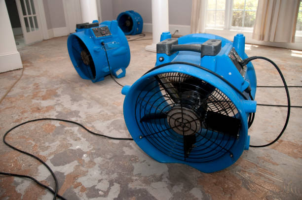 Best Fire Damage Restoration  in Northwest Ithaca, NY