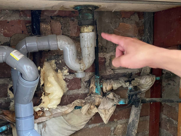Best Ceiling water damage repair  in Northwest Ithaca, NY